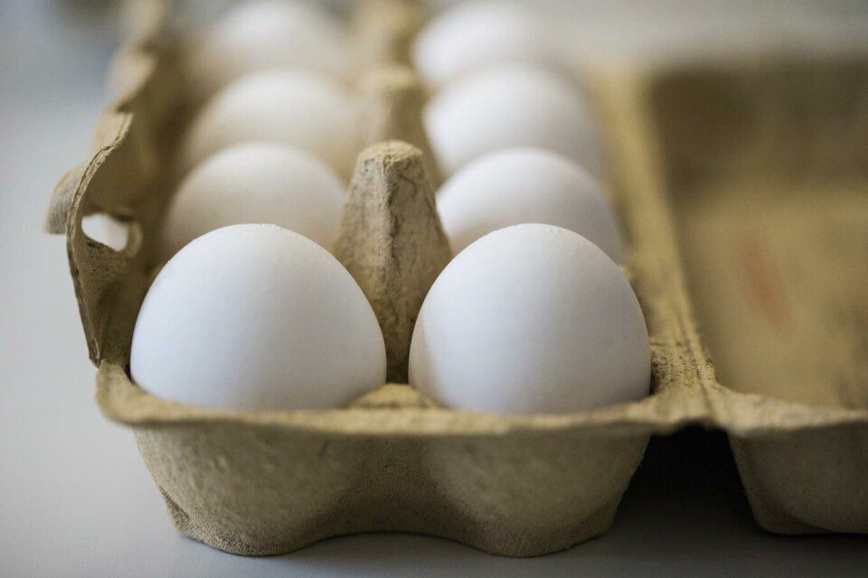 Tilbakekalling egg