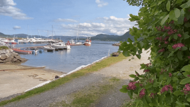 GIF-intro-Kirksaeter-Marina